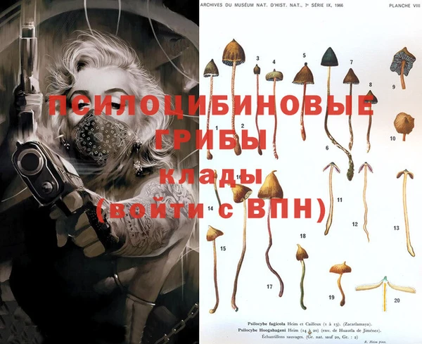 молекула духа Абинск