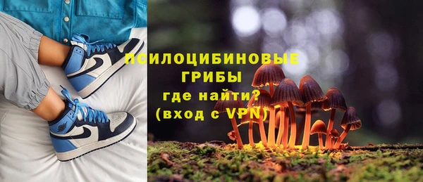 индика Алексеевка