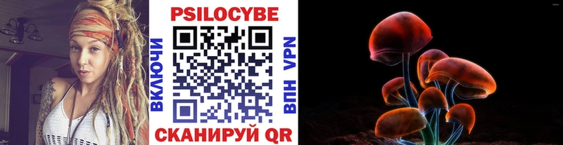 OMG как войти  Полысаево  Псилоцибиновые грибы GOLDEN TEACHER 